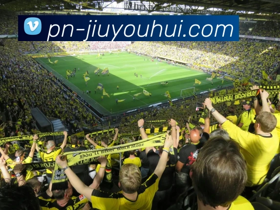 J9九游会官网平台生态图